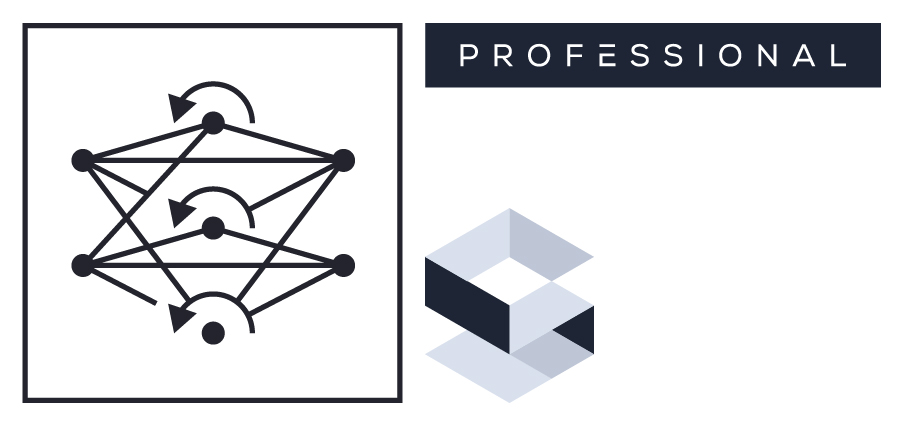 Web_Recurrent_Neural_Network_RNN_Compatibility_Professional 2