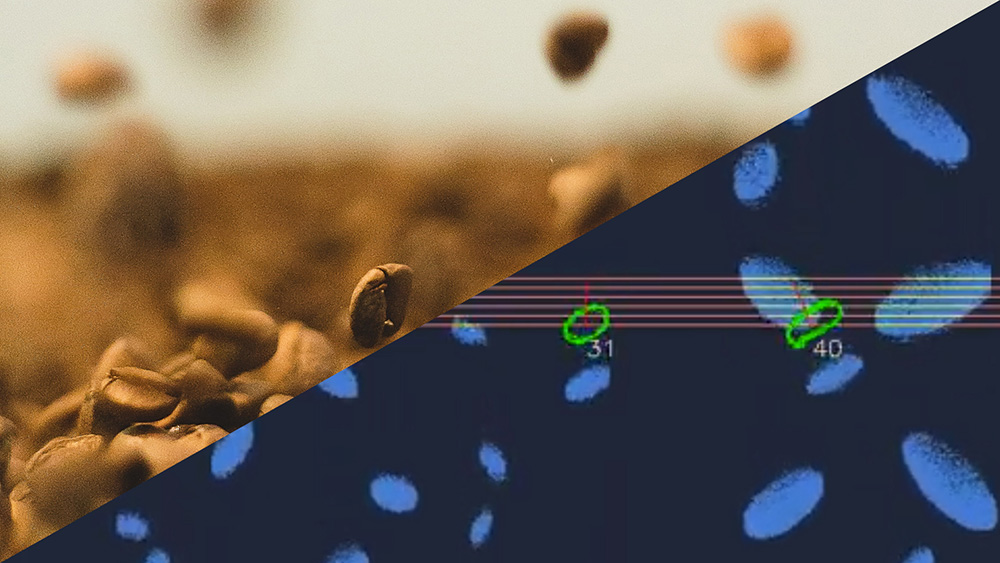 08_ParticleSizeMonitoring